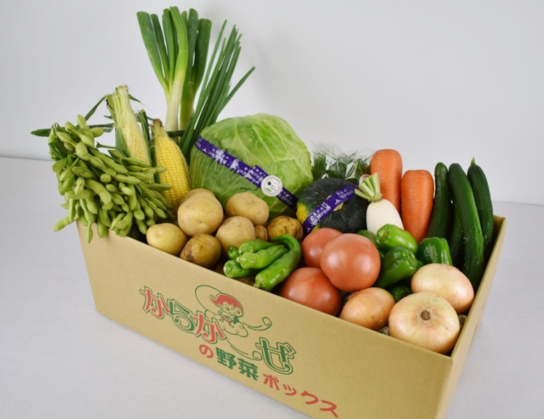 伊勢崎産新鮮野菜の詰め合わせ