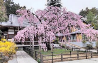 栃木県栃木市の特産品