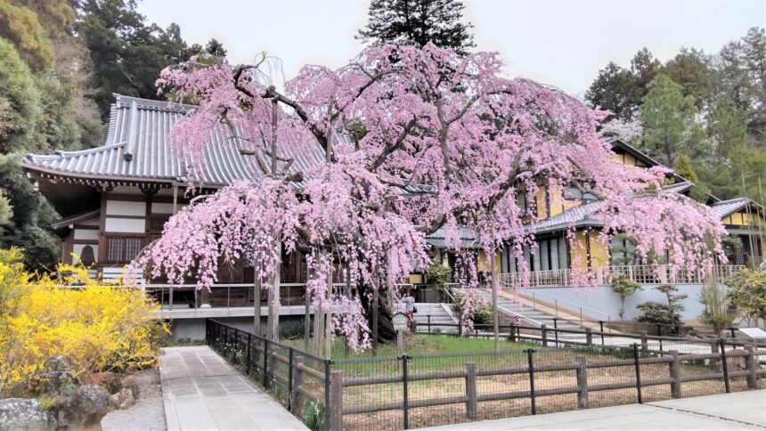 栃木県栃木市の特産品