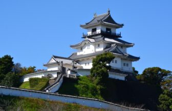 静岡県掛川市の特産品